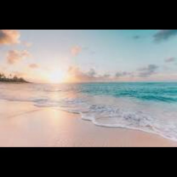 Meet your Posher, Rae - Picture 1 of 1